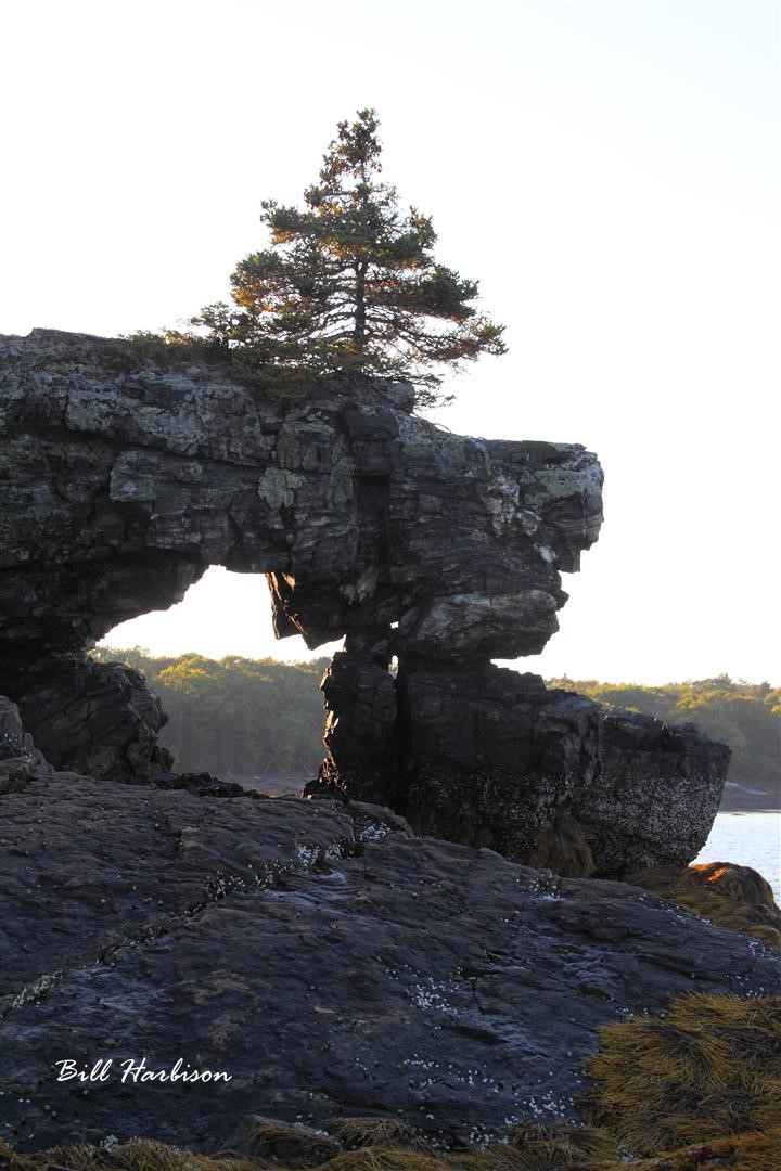 Full Frame for 4x6 or 8x12