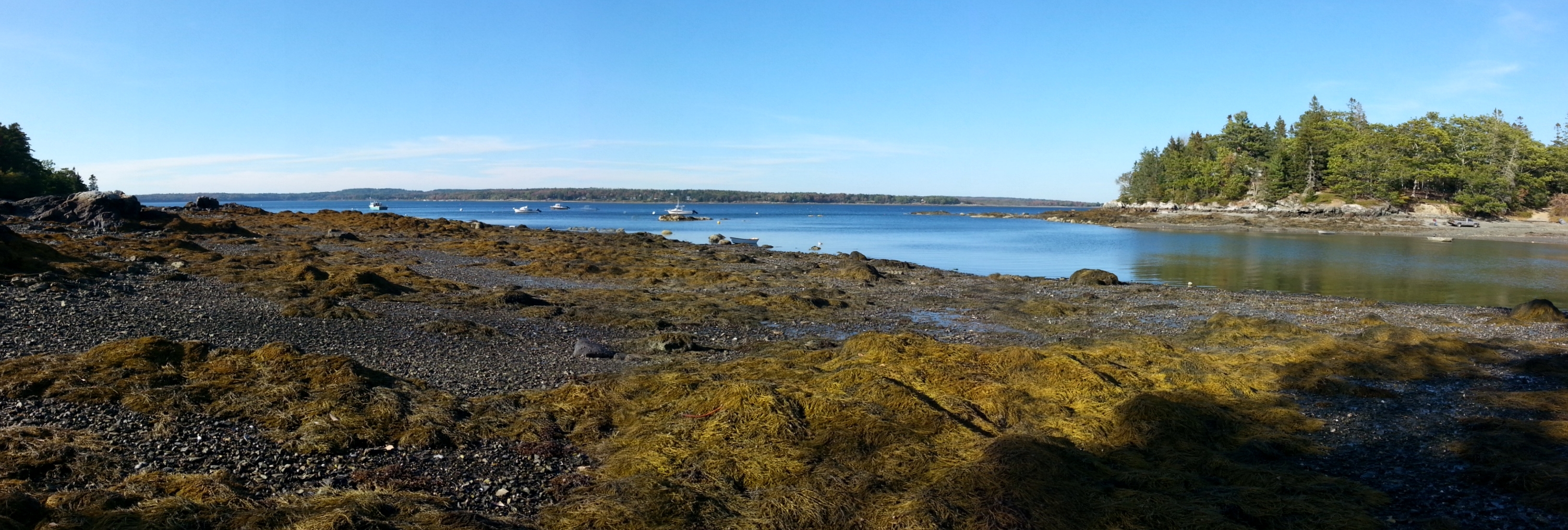Salsbury Cove, Mount Desert Island
